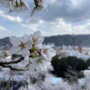 ヒメ日記 2025/04/06 23:15 投稿 すず ラブコレ