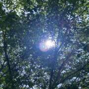 ヒメ日記 2025/04/10 15:01 投稿 すず ラブコレ