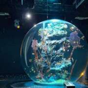 ヒメ日記 2025/05/28 14:21 投稿 すず ラブコレ