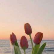 ヒメ日記 2024/12/07 15:02 投稿 香蓮(かれん) グランドオペラ福岡