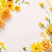 ヒメ日記 2024/12/27 19:58 投稿 香蓮(かれん) グランドオペラ福岡