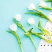 ヒメ日記 2024/12/27 21:59 投稿 香蓮(かれん) グランドオペラ福岡