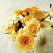 ヒメ日記 2025/02/27 16:01 投稿 香蓮(かれん) グランドオペラ福岡