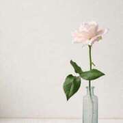 ヒメ日記 2025/03/07 18:04 投稿 香蓮(かれん) グランドオペラ福岡