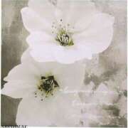 ヒメ日記 2025/04/22 19:51 投稿 香蓮(かれん) グランドオペラ福岡