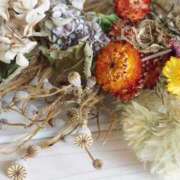 ヒメ日記 2025/05/31 19:29 投稿 香蓮(かれん) グランドオペラ福岡