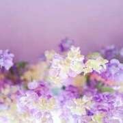 ヒメ日記 2025/06/19 00:01 投稿 香蓮(かれん) グランドオペラ福岡