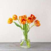 ヒメ日記 2025/06/25 20:30 投稿 香蓮(かれん) グランドオペラ福岡