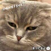 ヒメ日記 2024/12/18 19:48 投稿 らん 素敵な女の子は好きですか？