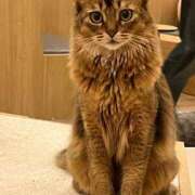 ヒメ日記 2025/01/22 06:03 投稿 らん 素敵な女の子は好きですか？