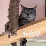 ヒメ日記 2025/04/10 15:18 投稿 らん 素敵な女の子は好きですか？