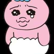 ヒメ日記 2025/05/04 17:04 投稿 すずね アロー