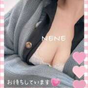 ヒメ日記 2025/04/04 14:56 投稿 ねね 体感サロン マチルダとベロニカ