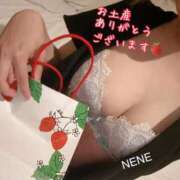 ヒメ日記 2025/04/13 11:47 投稿 ねね 体感サロン マチルダとベロニカ