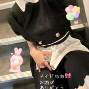 ヒメ日記 2025/04/15 12:04 投稿 ねね 体感サロン マチルダとベロニカ