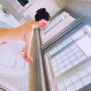 ヒメ日記 2025/06/04 13:42 投稿 ひまわり 町田人妻城