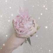 ヒメ日記 2025/06/05 00:37 投稿 ひまり モアグループ神栖人妻花壇