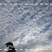 ヒメ日記 2025/06/19 13:54 投稿 ひまり モアグループ神栖人妻花壇