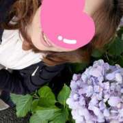 ヒメ日記 2025/07/01 20:45 投稿 ひまり モアグループ神栖人妻花壇