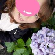 ヒメ日記 2025/07/09 09:34 投稿 ひまり モアグループ神栖人妻花壇