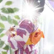 ヒメ日記 2025/07/11 12:33 投稿 ひまり モアグループ神栖人妻花壇