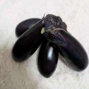 ヒメ日記 2025/07/31 00:00 投稿 ひまり モアグループ神栖人妻花壇