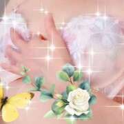 ヒメ日記 2025/08/31 21:51 投稿 ひまり モアグループ神栖人妻花壇