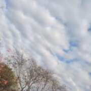 ヒメ日記 2025/11/30 19:44 投稿 ひまり モアグループ神栖人妻花壇