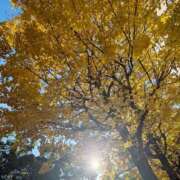 ヒメ日記 2025/12/04 14:56 投稿 ひまり モアグループ神栖人妻花壇