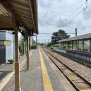 ヒメ日記 2026/03/15 16:46 投稿 ひまり モアグループ神栖人妻花壇