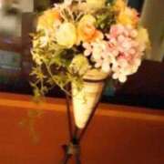 ヒメ日記 2025/05/25 21:29 投稿 蒼井ひな ヴェルファーレーVELFARREー鹿児島