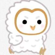 ヒメ日記 2025/05/31 02:30 投稿 蒼井ひな ヴェルファーレーVELFARREー鹿児島