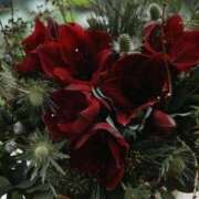 ヒメ日記 2025/06/16 00:46 投稿 蒼井ひな ヴェルファーレーVELFARREー鹿児島