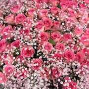 ヒメ日記 2025/06/27 21:31 投稿 蒼井ひな ヴェルファーレーVELFARREー鹿児島