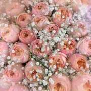 ヒメ日記 2025/06/29 22:02 投稿 蒼井ひな ヴェルファーレーVELFARREー鹿児島