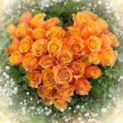 ヒメ日記 2025/11/10 01:30 投稿 蒼井ひな ヴェルファーレーVELFARREー鹿児島