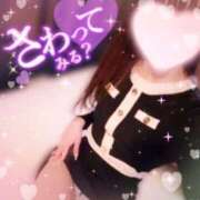 ヒメ日記 2024/12/22 00:31 投稿 一ノ瀬あゆみ ヴェルファーレーVELFARREー鹿児島