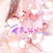 ヒメ日記 2025/06/07 21:21 投稿 一ノ瀬あゆみ ヴェルファーレーVELFARREー鹿児島