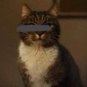 ヒメ日記 2025/11/29 22:45 投稿 一ノ瀬あゆみ ヴェルファーレーVELFARREー鹿児島