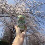 ヒメ日記 2026/03/29 19:32 投稿 一ノ瀬あゆみ ヴェルファーレーVELFARREー鹿児島