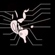 ヒメ日記 2025/10/20 18:55 投稿 神城れな ヴェルファーレーVELFARREー鹿児島