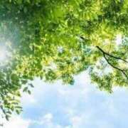 ヒメ日記 2026/03/12 14:41 投稿 神城れな ヴェルファーレーVELFARREー鹿児島