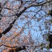 神城れな ふっふ ヴェルファーレーVELFARREー鹿児島