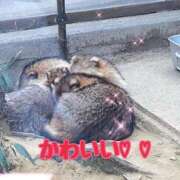 ヒメ日記 2025/03/24 22:50 投稿 結城りさ ヴェルファーレーVELFARREー鹿児島