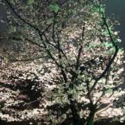 ヒメ日記 2025/04/05 23:42 投稿 結城りさ ヴェルファーレーVELFARREー鹿児島