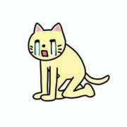 ヒメ日記 2025/01/03 08:41 投稿 つぐみ 熟女の風俗最終章 相模原店