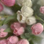 ヒメ日記 2024/12/11 16:35 投稿 紗奈(さな) グランドオペラ福岡