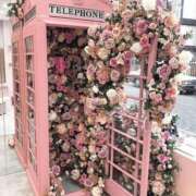 ヒメ日記 2024/12/17 11:11 投稿 紗奈(さな) グランドオペラ福岡