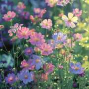 ヒメ日記 2024/12/17 13:02 投稿 紗奈(さな) グランドオペラ福岡