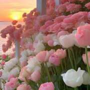 ヒメ日記 2024/12/24 15:02 投稿 紗奈(さな) グランドオペラ福岡